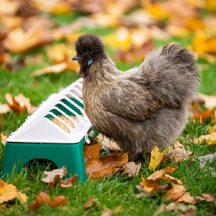 OLBA Geflügel-Futtertrog